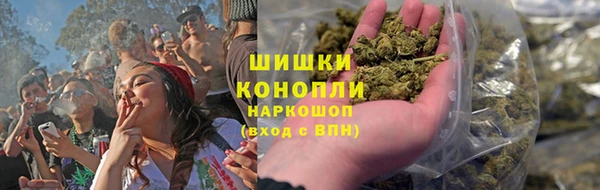 крисы Абаза
