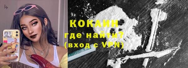 крисы Абаза